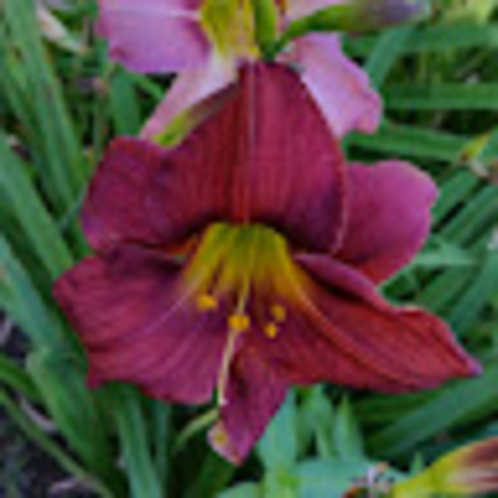 Meet your Posher, Katharine